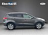 Ford Kuga Family